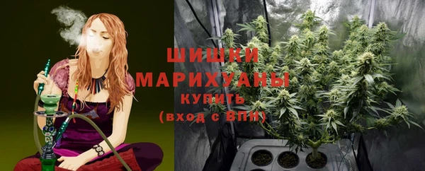 ешки Аркадак